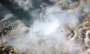 Mysterious Smoke Comes Up Through the Lawn