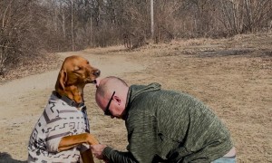 How to Distract Your Dog to Cut Their Nails