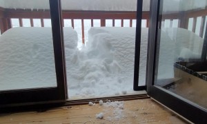 Cat Attempts Snow Pile Jump