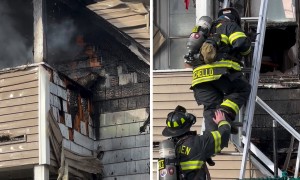 Firefighters rescue cat from house fire