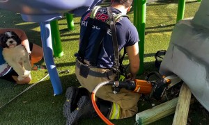 Firefighters rescue a dog who managed to get stuck under an artificial rock