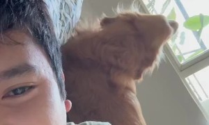 Dog Sings a Duet