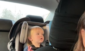 Little Boy Cusses At Dad's Driving