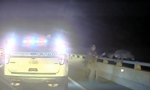 Rescue video shows a police dog jumping off a bridge and being saved with his leash