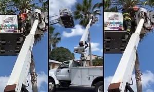 Tree trimmer rescued when bucket truck malfunctions 30 feet up