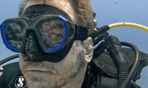 Small Fish Cleans Scuba Diver's Ears