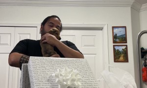 Birthday Man Surprised With Miniature Dachshund