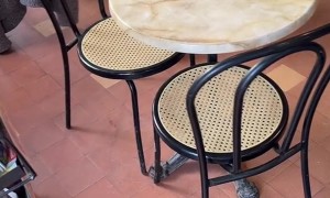 Border Collie Has Impressive Soccer Skills