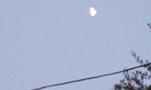 Something in the Sky in Zephyrhills, Florida