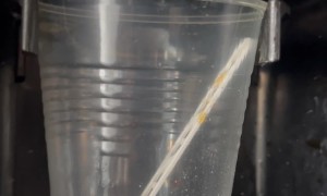 Automatic Coffee Machine Melts Plastic Cup