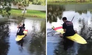Firefighter rescued bird that was stuck in fishing line
