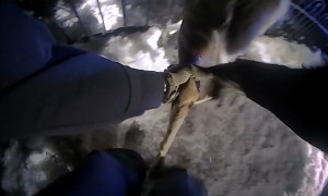 Police officer and bystander help rescue deer stuck in fence