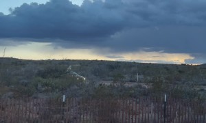 Dog Rides On Car Roof