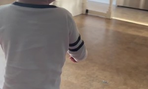 Very Excited For The Aquarium