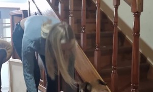 Leash Turns Dog Into Excited Kangaroo