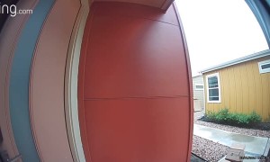 FedEx Delivery Driver Dumps Packages