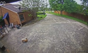 Amazon Driver Runs Over Package He Just Delivered