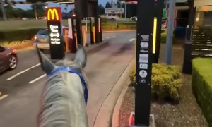 Fast Food Drive-Thru on Horseback