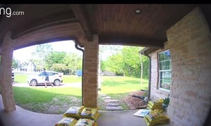 Package Carrier Startled By Dogs Jumps on Van