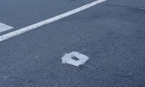 Chicken Uses a Crosswalk