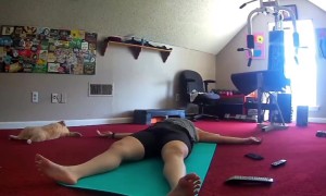 Cat Copies Resting Yogi's Pose