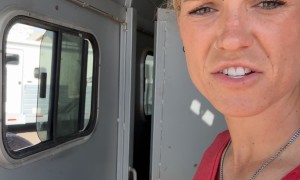 Tater Chip the Horse Loves Kisses