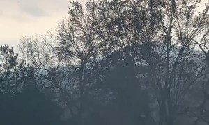 Tornado Forms in Sunbright, Tennessee