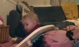 Dad Learns To Not Play With Dolly