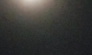 Solar Flares And Stars Seen In Eclipse Totality