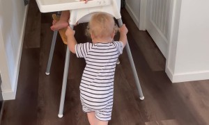 Twins Make A Break For It With High Chair