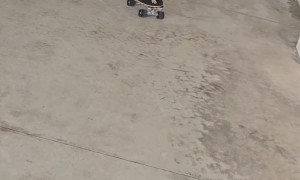 Skilled Kitten Skates On Several Boards
