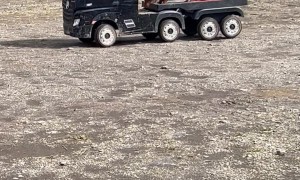 Boy Hauls His Best Friend With His Toy Truck