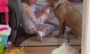 A Very Patient Pup Puts Up With Daughter's Fashion Show