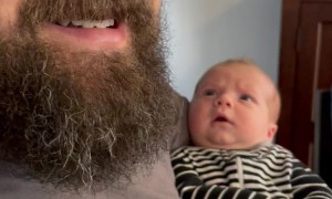 Baby’s First Time Seeing a Beard