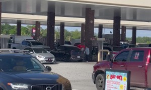 Bees Swarm to One Specific Car at Buc-ee's
