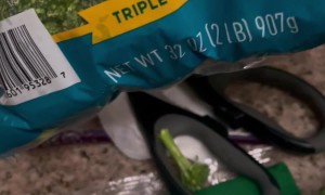 Woman Finds Bugs in Bag of Broccoli