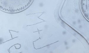 Romantic Message Written In the Snow