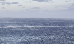 Strong Winds Push Waves Away From Shoreline