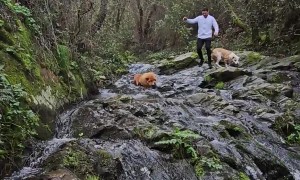 Triple Slip Water Crossing