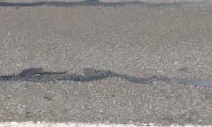 Protesters Block the Golden Gate Bridge