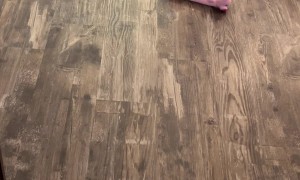 Boxer Dog Isn't Ready To Be A Dad