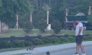 Man Helps Duckling Get Over Curb