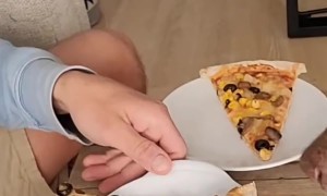 Smart Dogs Know What Pizza They Can Eat and What They Can't