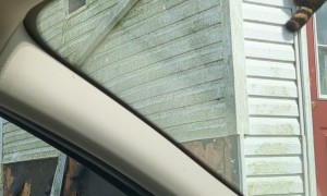 Raccoon Hitches a Ride on Moving House