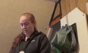 Giant Cat Asks to Be Picked Up