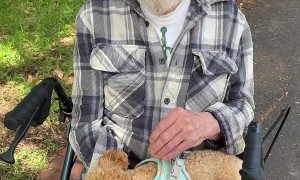 Nursing Home Neighbor Becomes Poodle's Best Bud