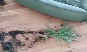 I have no idea what happened