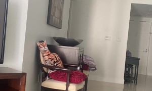 Bird Plays Hide and Seek