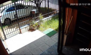 Mosquitos Swarm Man Outside Home