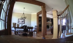 Security Camera Catches Trip and Fall on Staircase